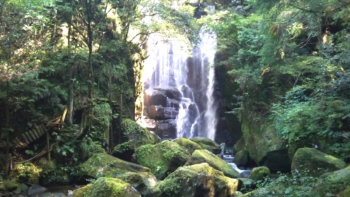 美しさと迫力の滝[桑ノ木の滝(くわのきのたき)]和歌山県新宮市