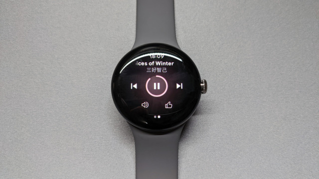 Google Pixel Watch